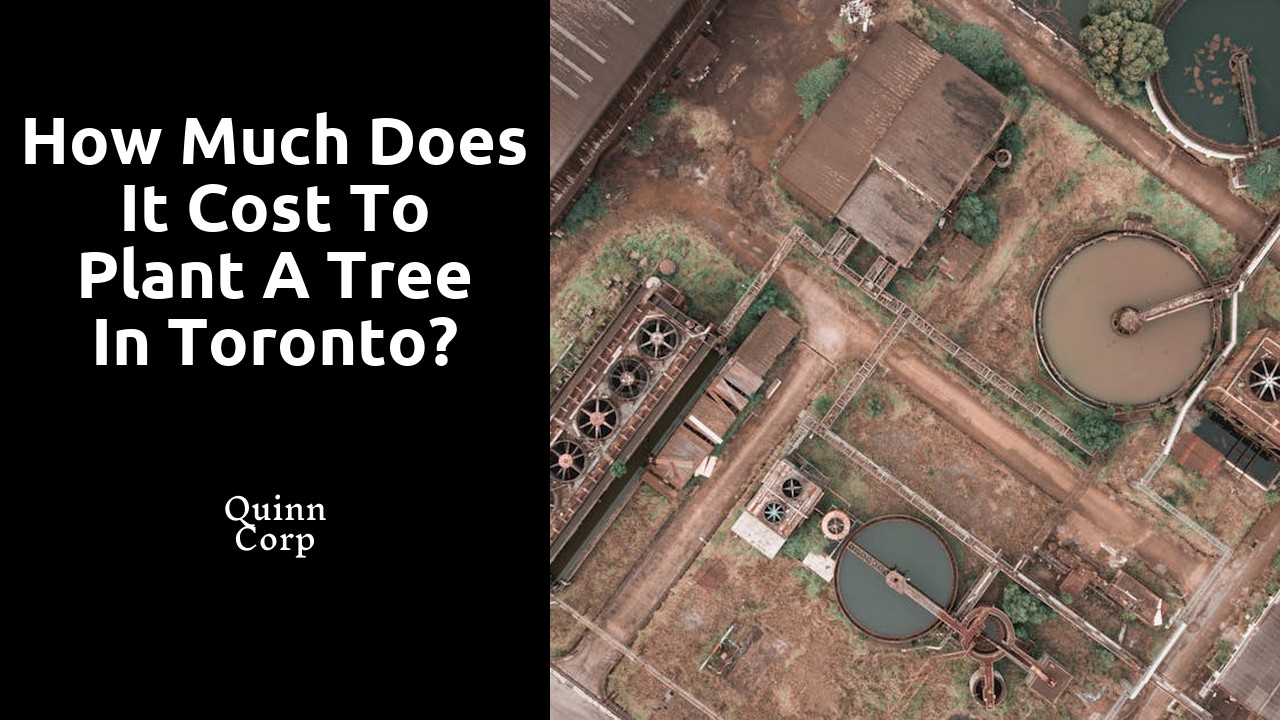 How much does it cost to plant a tree in Toronto?