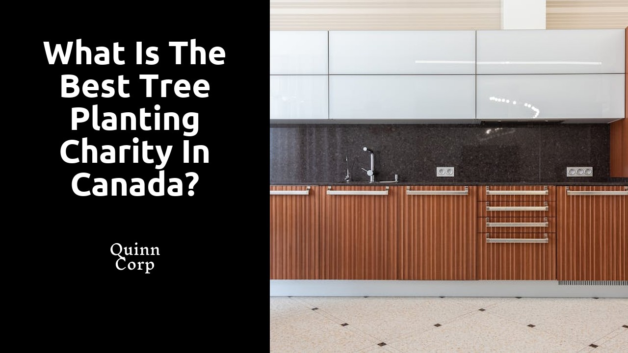 What is the best tree planting charity in Canada?